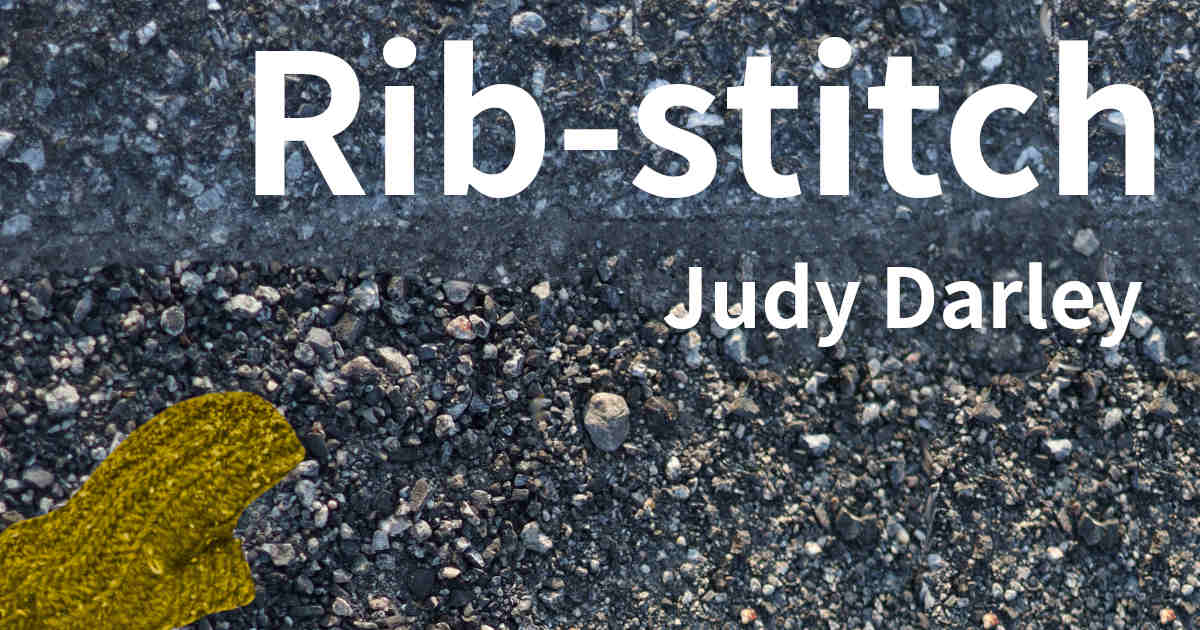 Rib-stitch by Judy Darley