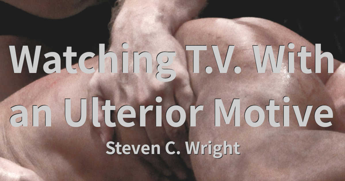 Watching T.V. With an Ulterior Motive by Steven C. Wright